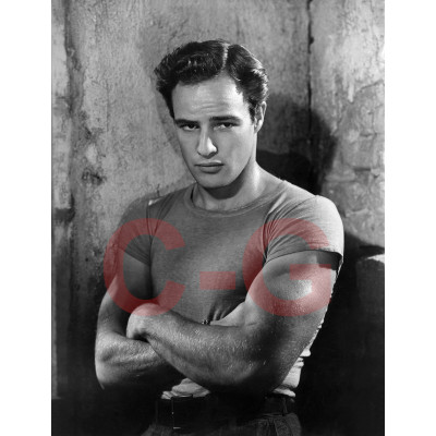 Marlon Brando - Un tramway nommé désir 1951 Marlon Brando - Un tramway nommé désir 1951