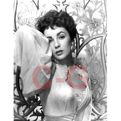 Elisabeth Taylor Elisabeth Taylor