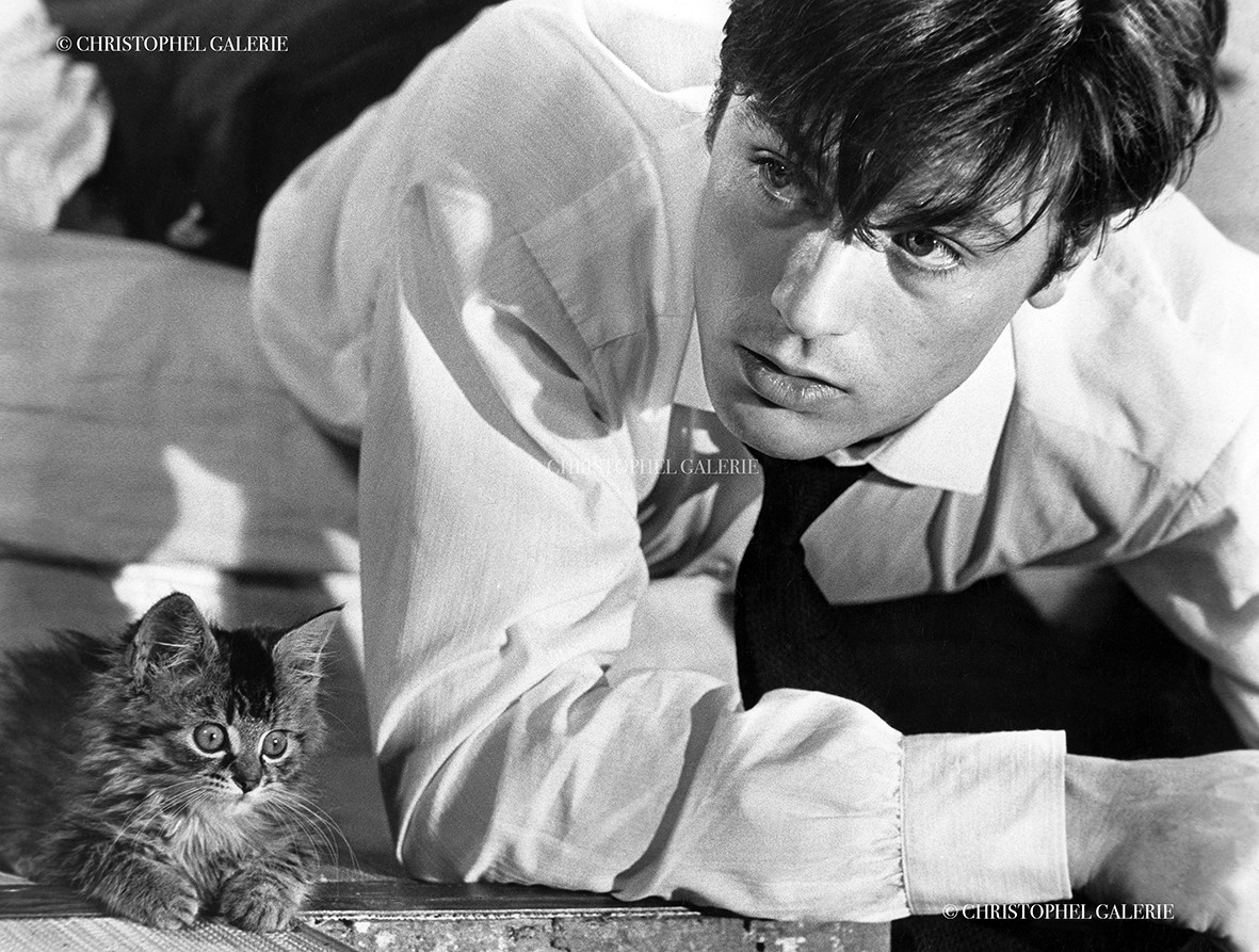 Alain Delon - Les félins 1964 Alain Delon - Les félins 1964